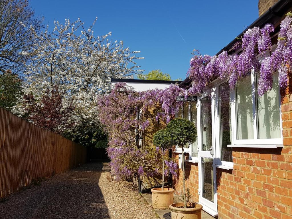The Bakehouse Guesthouse in Maidenhead, Berkshire, England