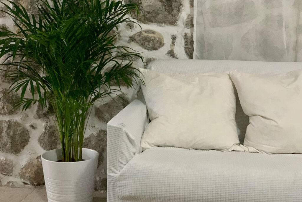 a white couch with pillows and a potted plant at Lava House in Mandrakion