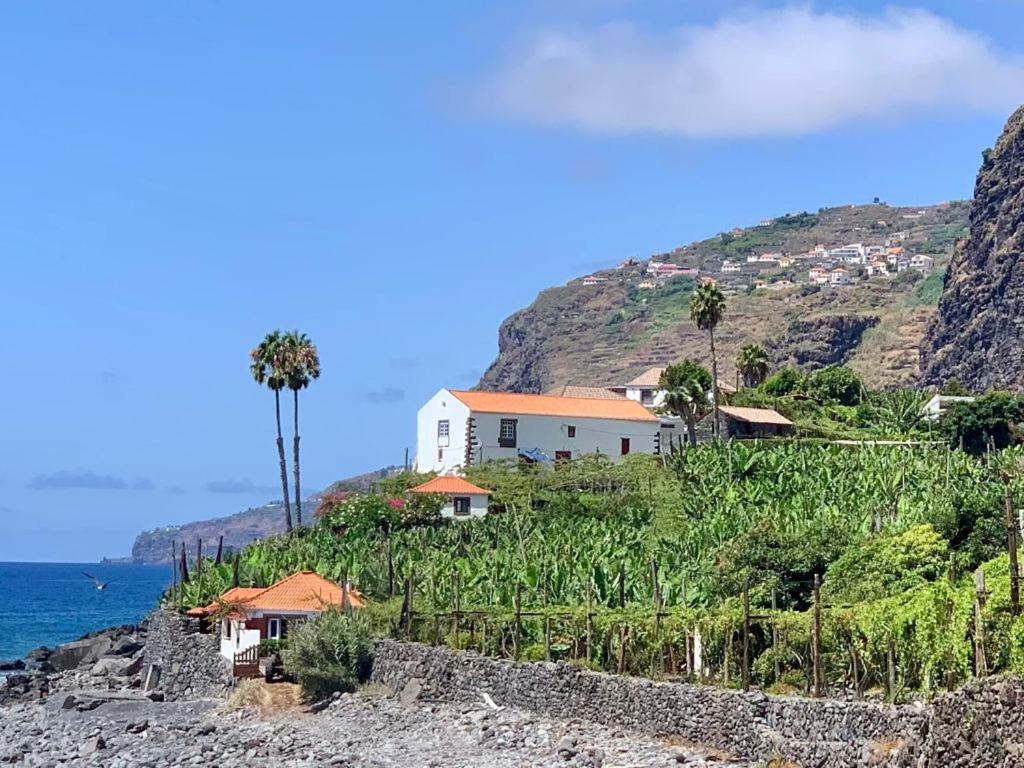 a house on a hill next to the ocean at Faja dos Padres in Ribeira Brava