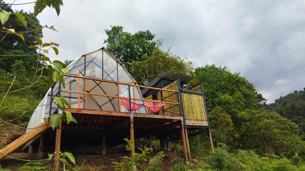Taman di luar Ecoglamping Reserva Natural Paraíso Andino