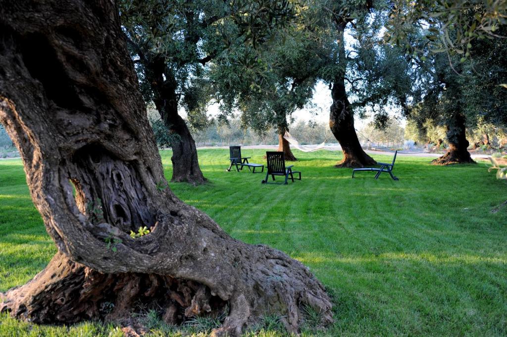 Vrt pred nastanitvijo masseria LAMA DI GALIZIA