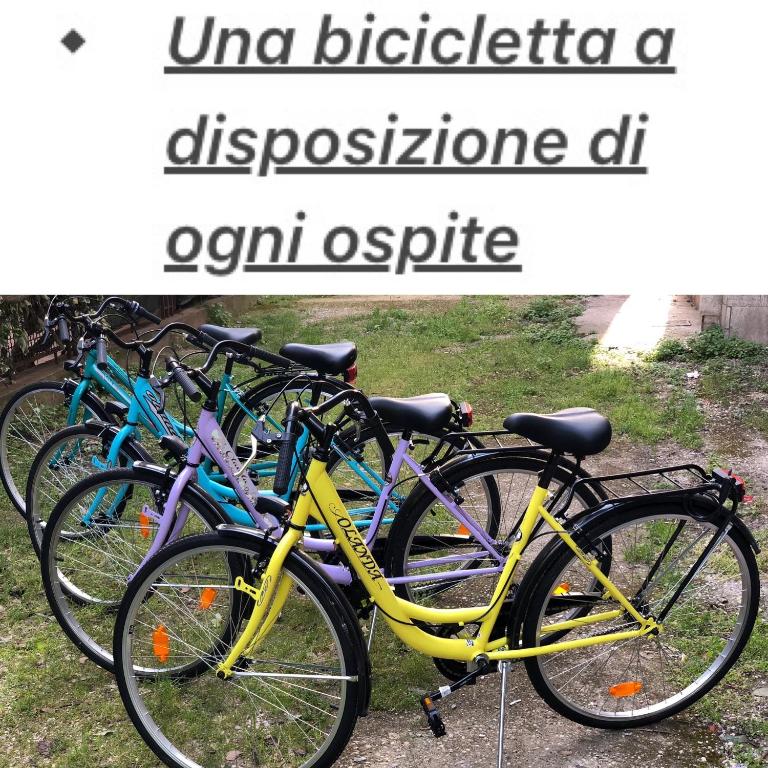 grupa rowerów zaparkowanych obok siebie w obiekcie La Boa B&B w mieście San Benedetto del Tronto