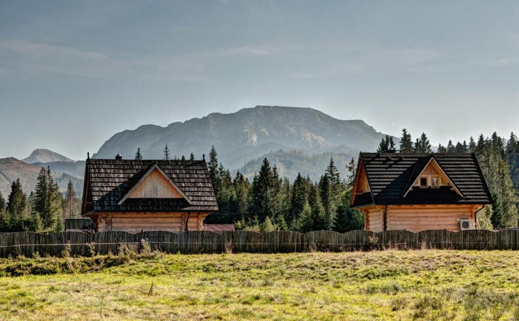 duas casas de madeira num campo com montanhas ao fundo em Domek Regionalny Baligówka em Witów