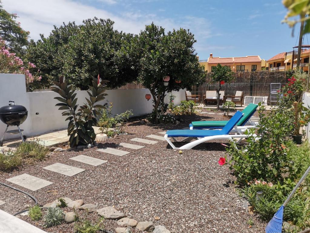 un patio con 2 tumbonas y un árbol en Apartamentos Los Medanos, en Valle Gran Rey