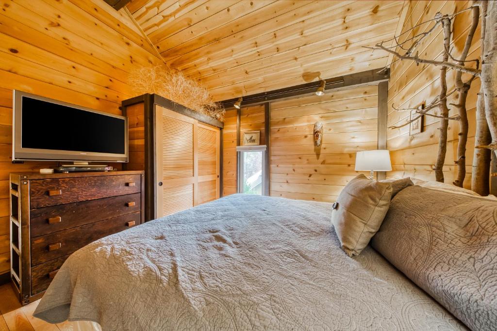 TV a/nebo společenská místnost v ubytování 6 Cluster Cabin
