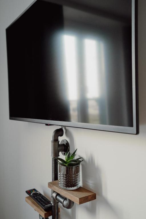 TV a/nebo společenská místnost v ubytování Schlafladen Hildesheim Hotel & Hostel
