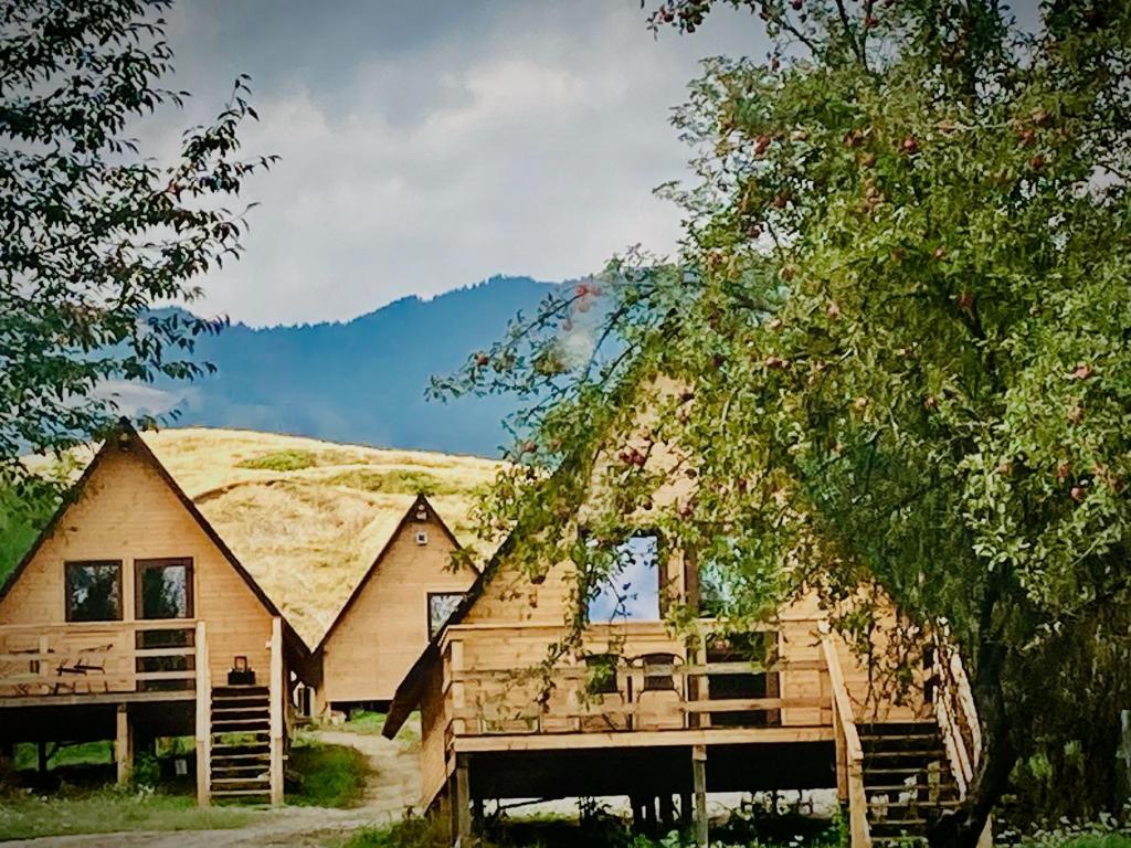 ein Blockhaus mit einer Veranda und einem Berg in der Unterkunft Cabanele lu’ Dinu in Curtea de Argeş