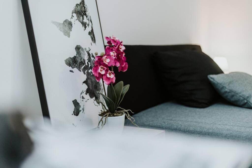 Laura Apartmanház - Appartement