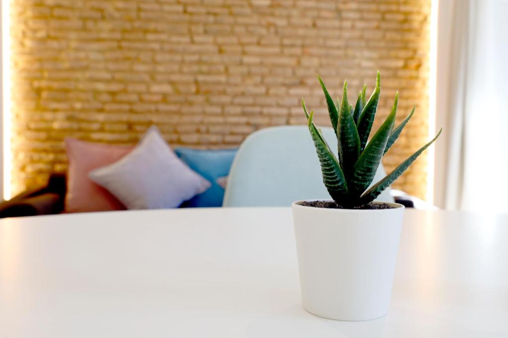 Victoria Suites Apartments - 12