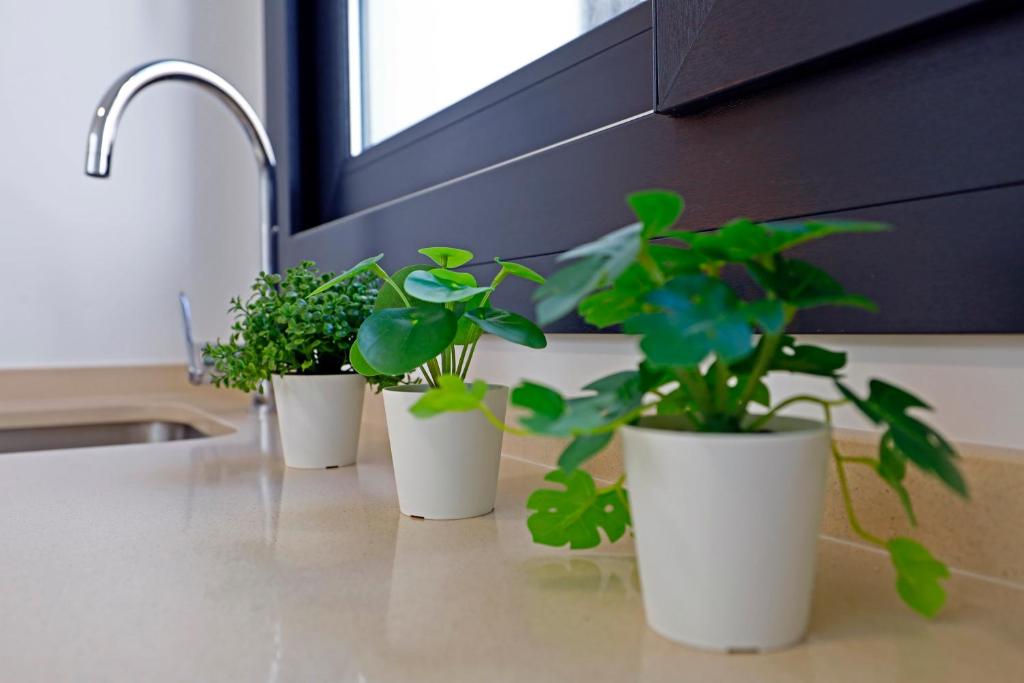 Victoria Suites Apartments - 15