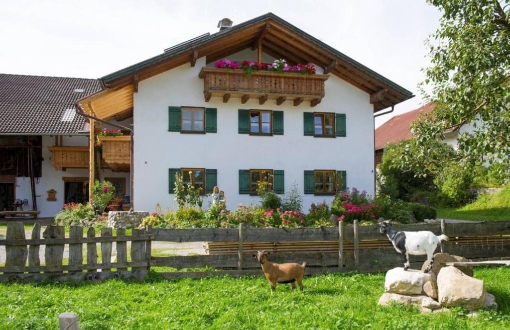 a house with two goats in front of it at Ferienwohnung Mohnblume in Burggen
