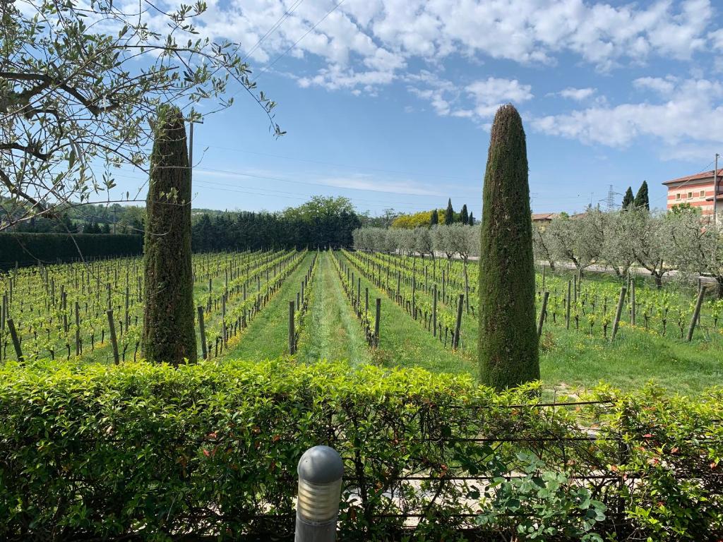 Zahrada ubytování Cascina Girolda