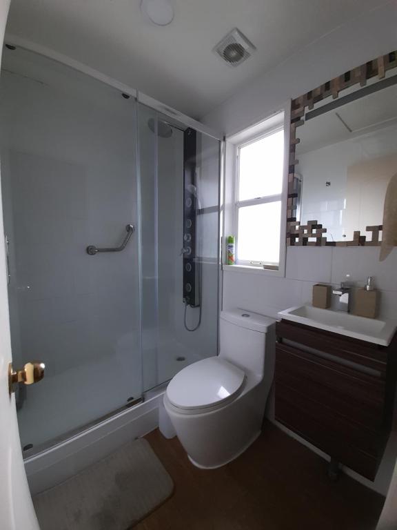 y baño con aseo, ducha y lavamanos. en habitac privada Bed n Bkf Patagonia Norte - Puerto Varas Homestay - BnB Plus, en Puerto Varas