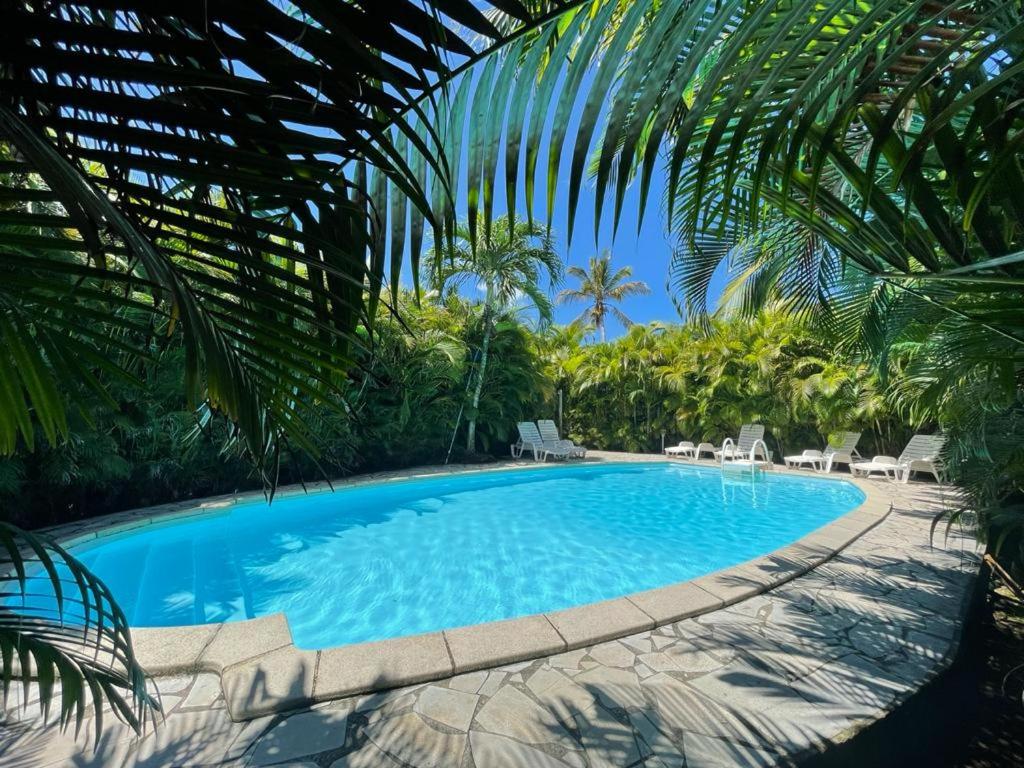 uma grande piscina com cadeiras e palmeiras em Cas'à Willy em Sainte-Rose