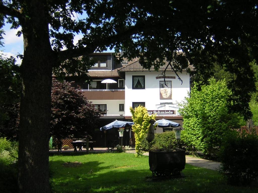 Zahrada ubytování Hotel zur Schmiede