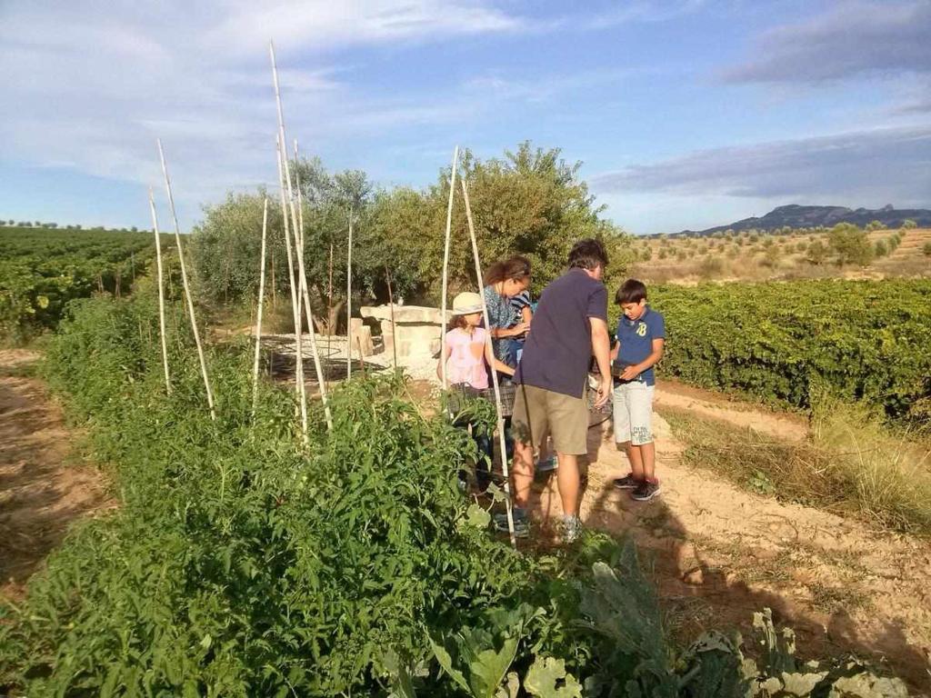 Hosté ubytování Casa Rural Ca Lazaro