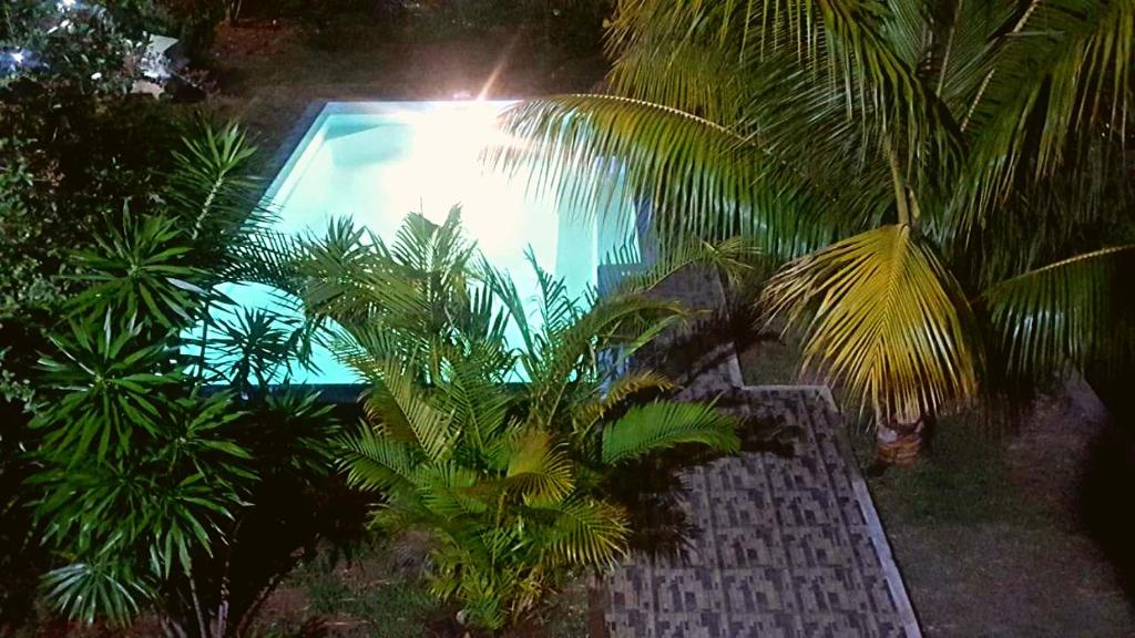 a pool with palm trees in front of a building at Aux plaisirs de la vie in Flic-en-Flac