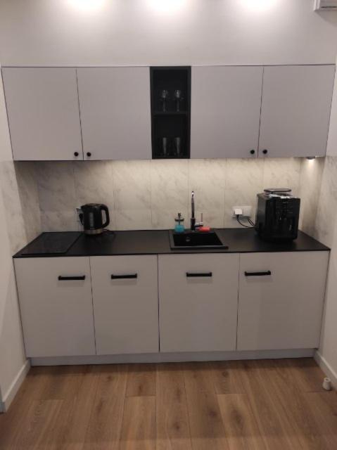 City Break Atelier Praga Apartamenty - Resim 18