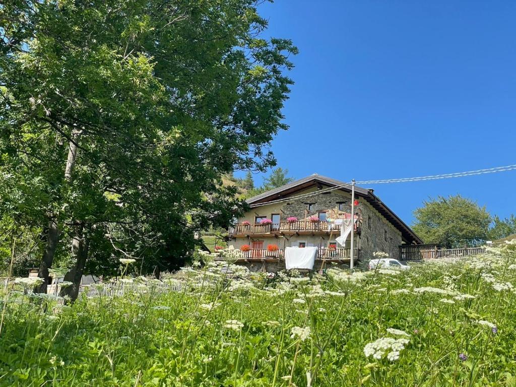 Zahrada ubytování Agri-b&b Lou Col