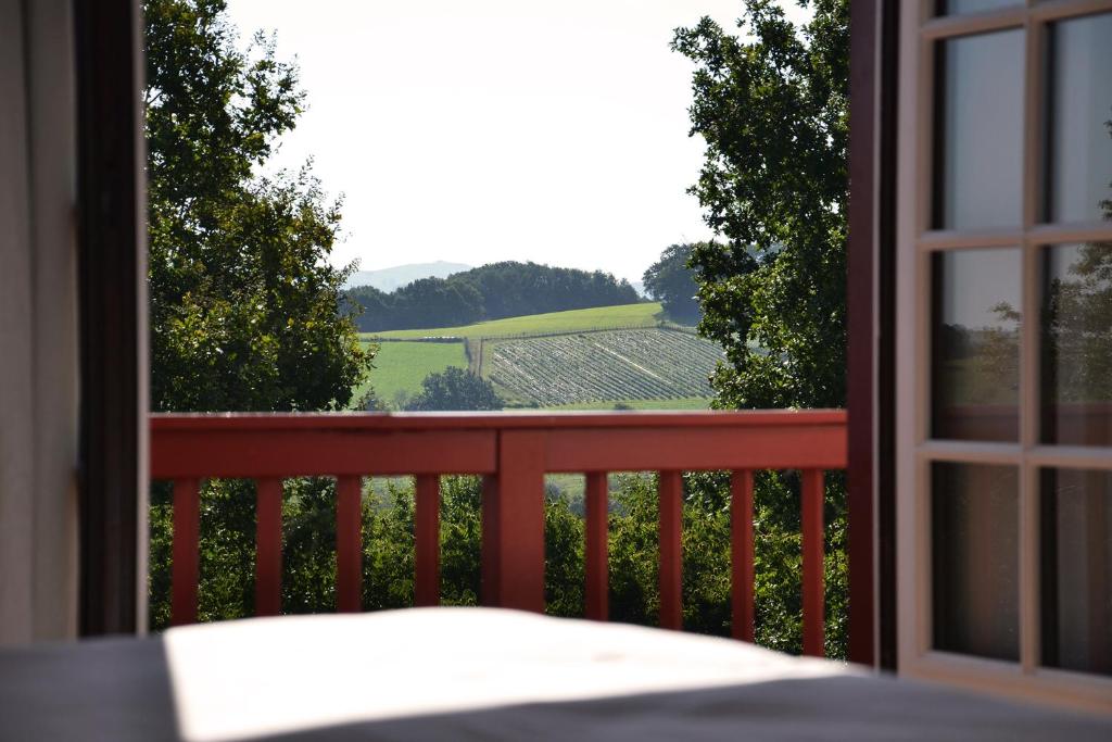 Příroda nedaleko bed and breakfast