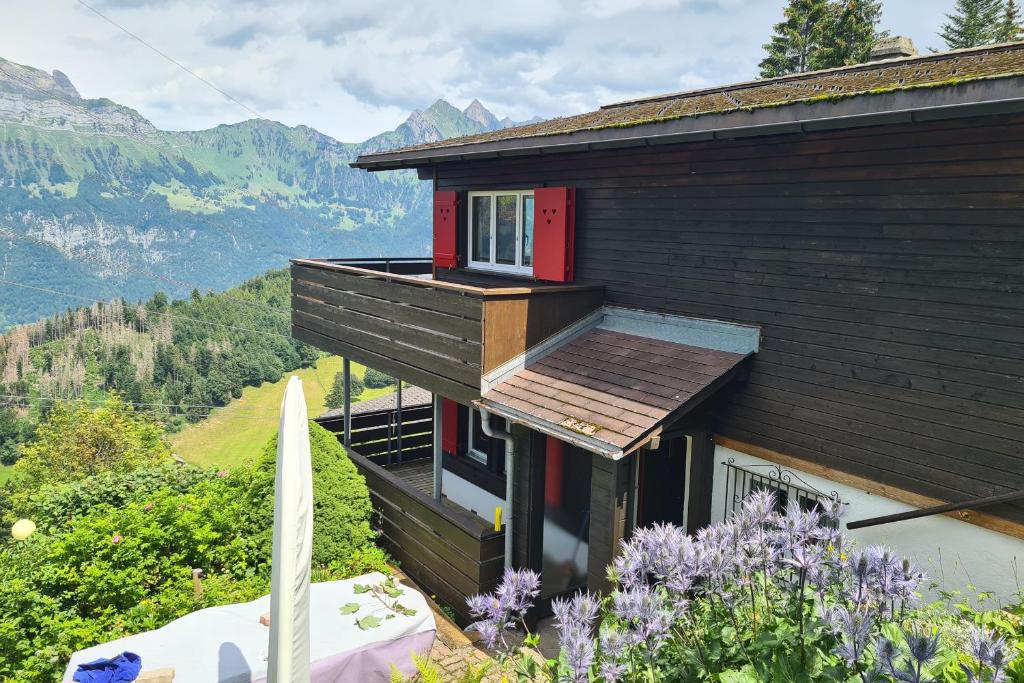Příroda nedaleko apartmánu