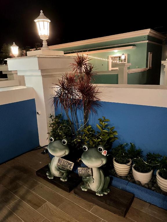 Zahrada ubytování Bloom B&B