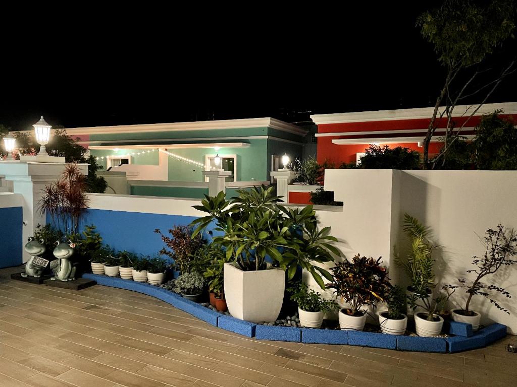 Zahrada ubytování Bloom B&B