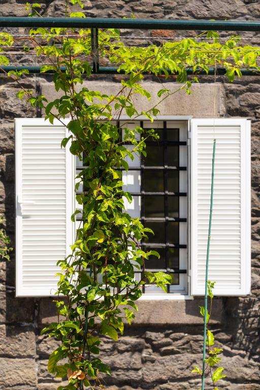 a window with white shutters on a stone building at Casa Amarela Apartments - by Casas na Ilha in Câmara de Lobos