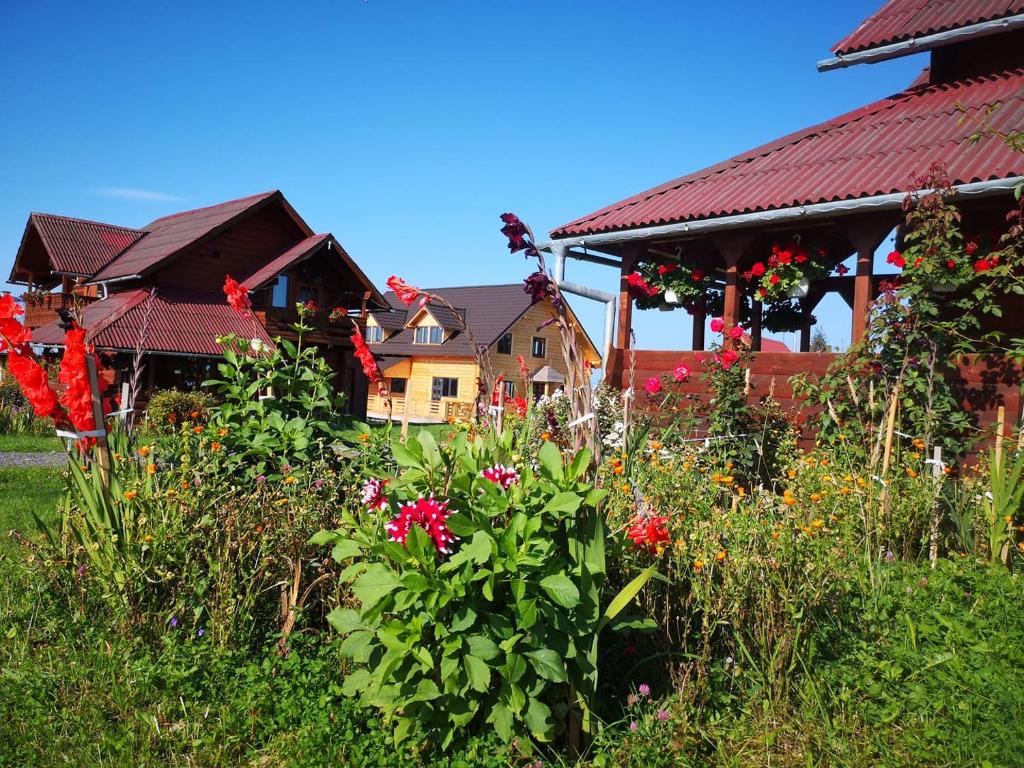 a garden with flowers in front of a house at Cabanele FloriCrin - Cabana 2 in Mărişel