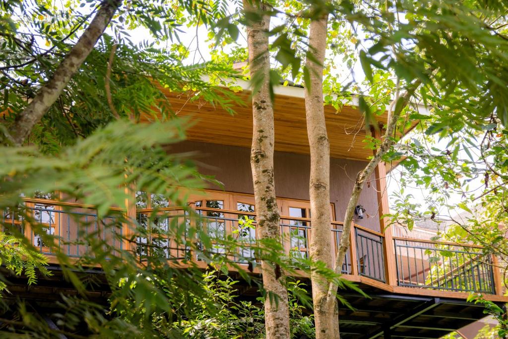 Balkón nebo terasa v ubytování Chimpundu Lodge