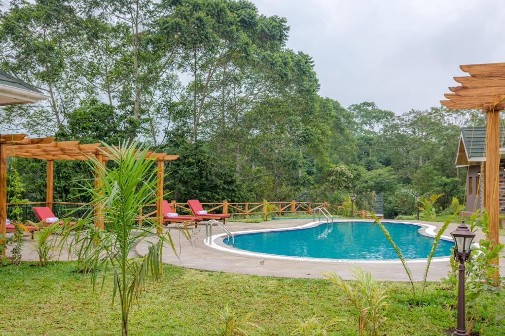 Bazén v ubytování Chimpundu Lodge nebo v jeho okolí
