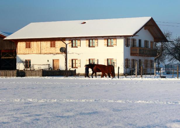 a horse standing in the snow in front of a house at Springerhof in Schechen