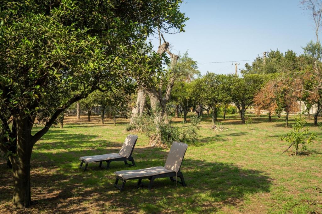 Zahrada ubytování Agriturismo Villa Coluccia