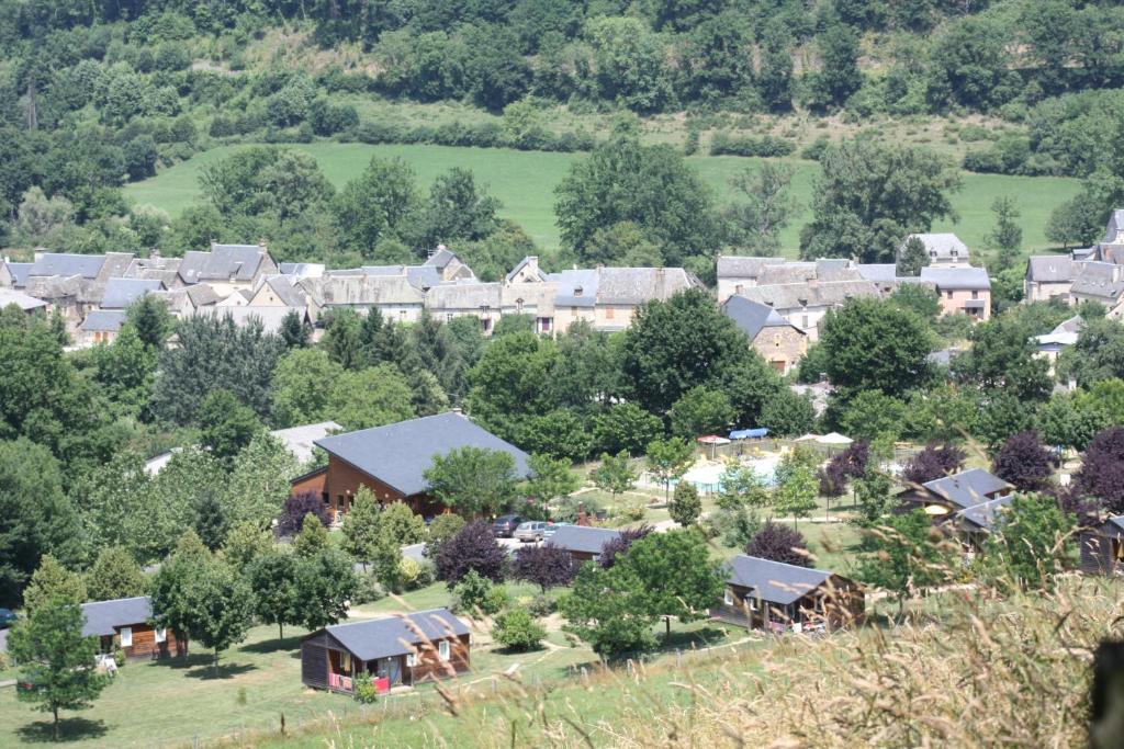 Village de Gite - La Cascade في Sainte-Eulalie-dʼOlt: اطلالة جوية على قرية فيها بيوت واشجار
