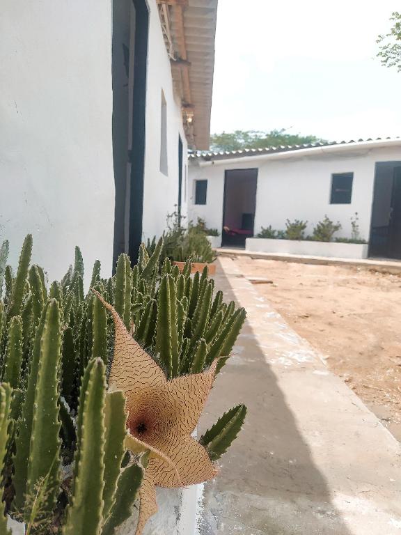 Edificio en el que se encuentra el albergue