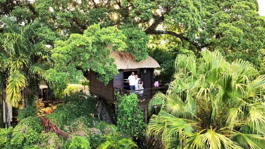 Zahrada ubytování Tree Lodge Mauritius