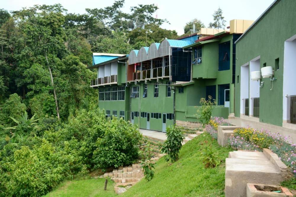 Une rangée de bâtiments verts sur une colline dans l'établissement Chimpanzee Lodge, à Rwumba