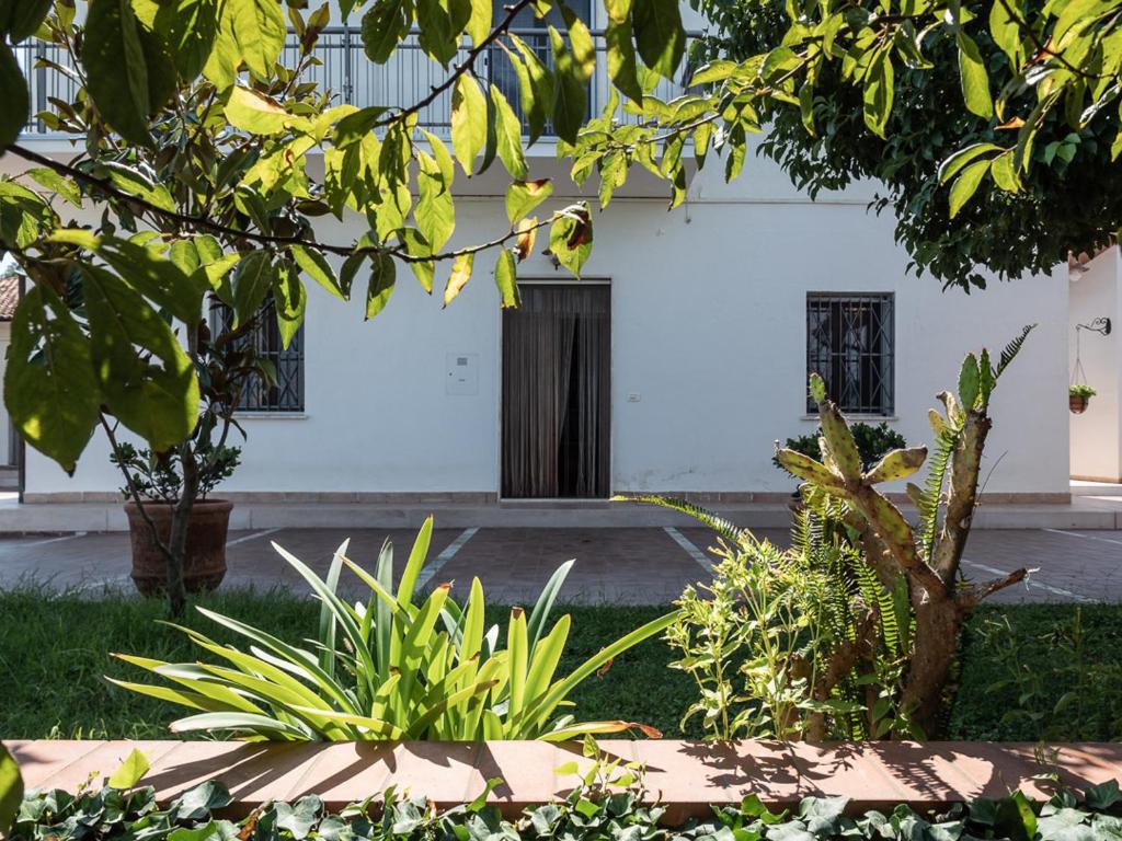 un edificio blanco con plantas delante en Casa Marietta, en San Nico