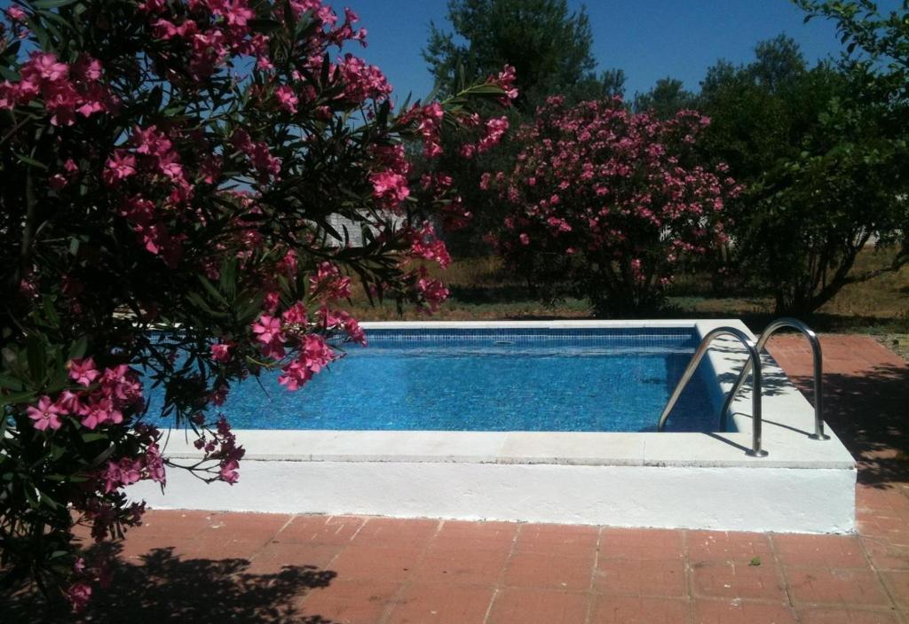 een zwembad in een tuin met roze bloemen bij Villa Los Pinos in Marchena