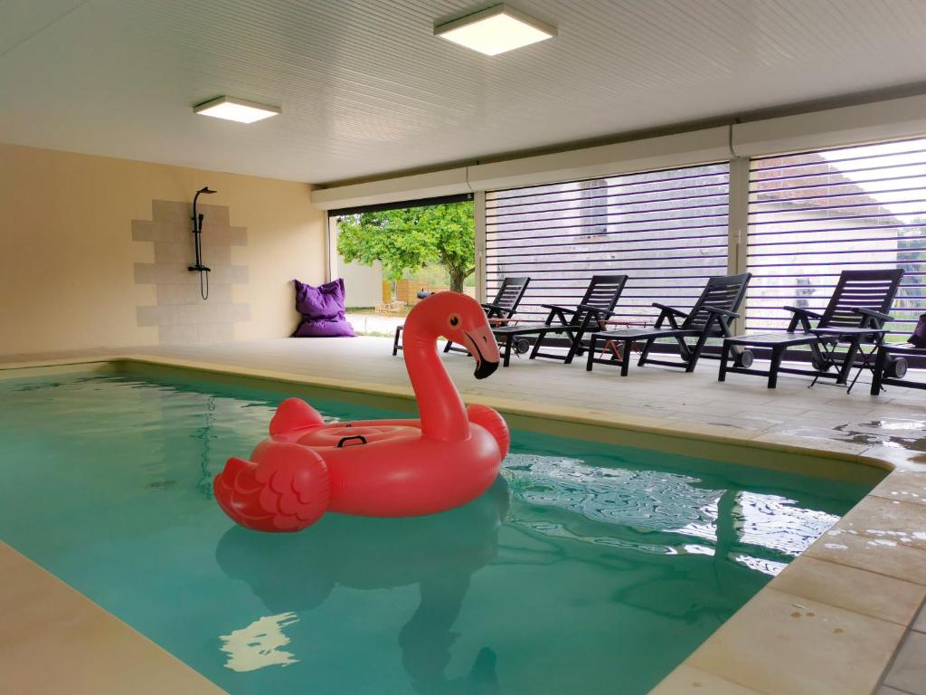 a swimming pool with a red rubber duck in the water at Domaine des Bois Argentés in Saugirard
