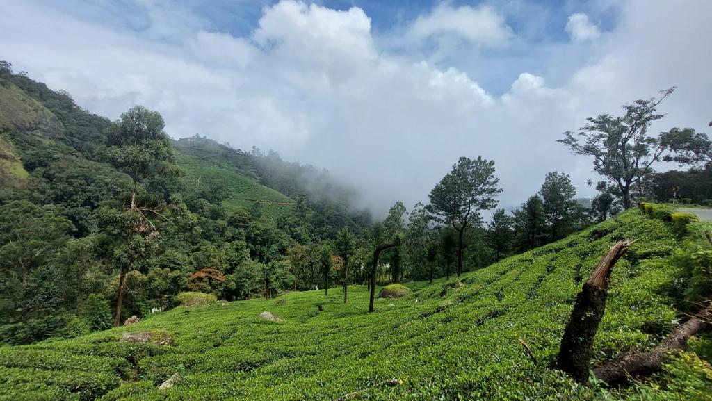 Haritha Homestay Munnar - 阳台的三个房间
