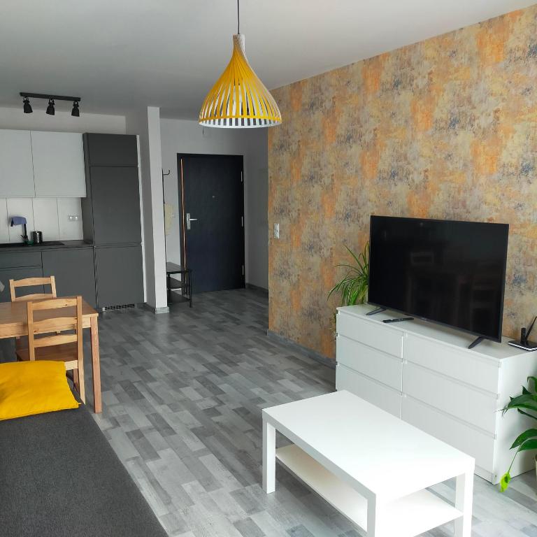 APARTAMENT HELSINKI في كراكوف: غرفة معيشة مع تلفزيون وأريكة وطاولة