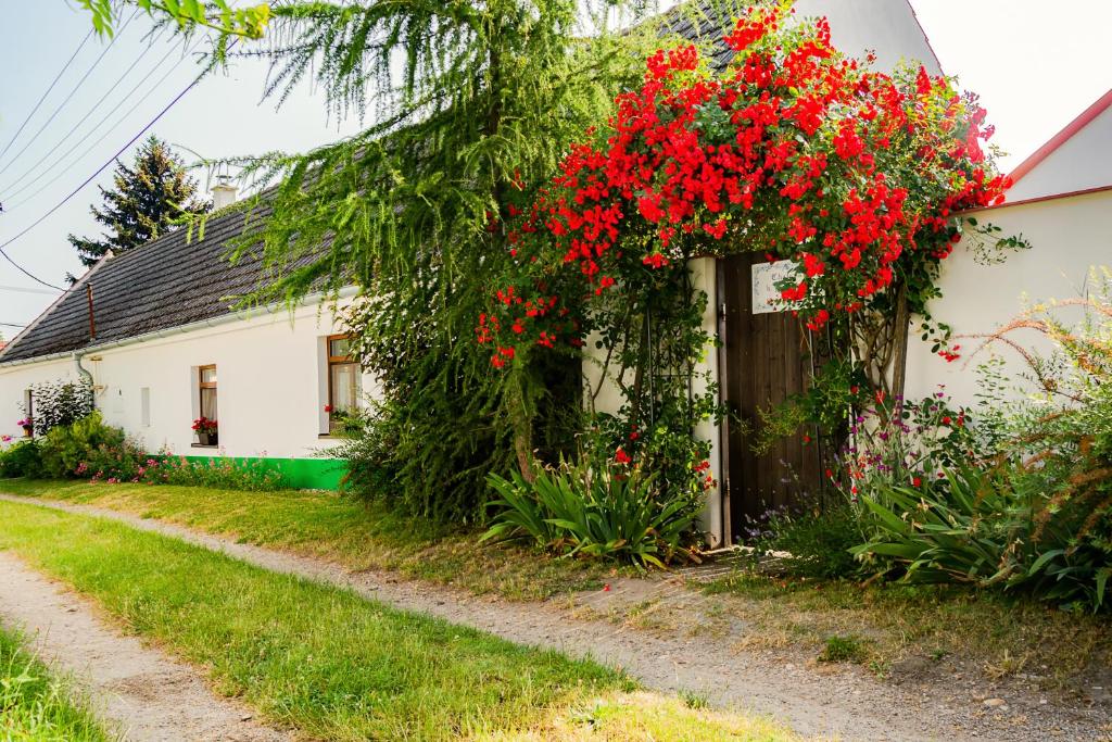 une maison avec des fleurs rouges sur son côté dans l'établissement Chalupa U Čápů, à Nové Mlýny