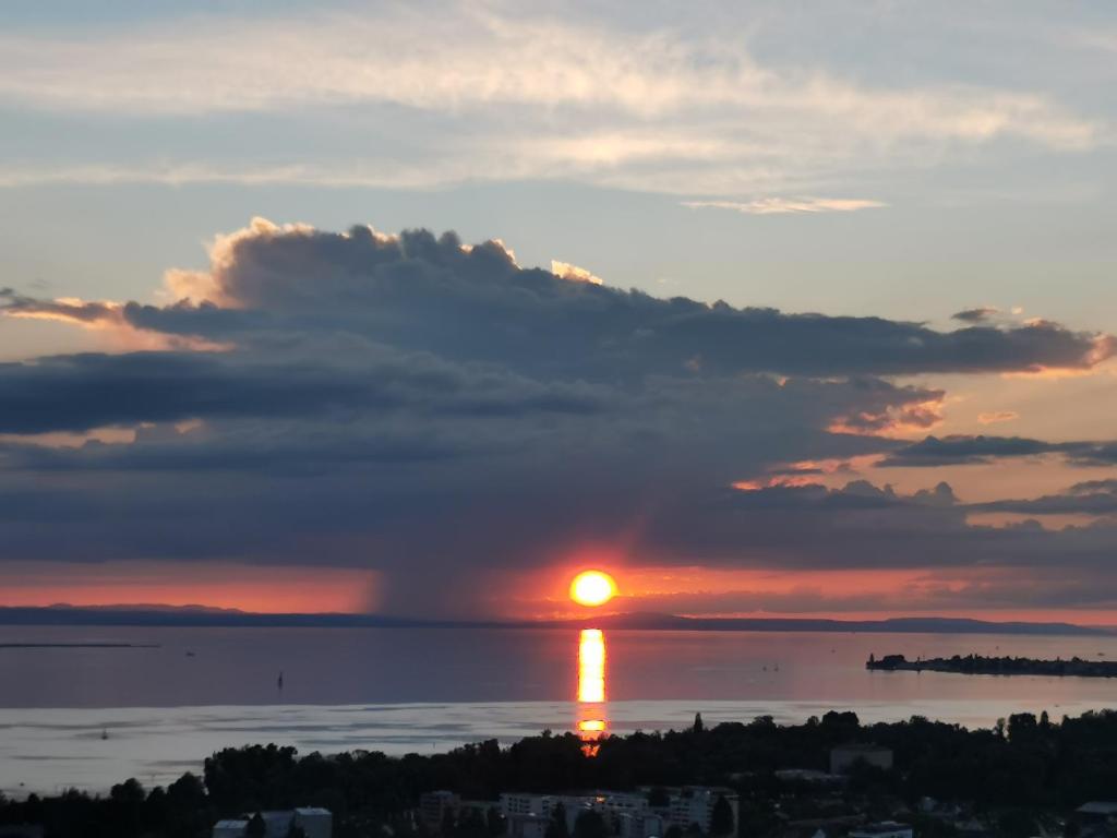 Příroda nedaleko apartmánu