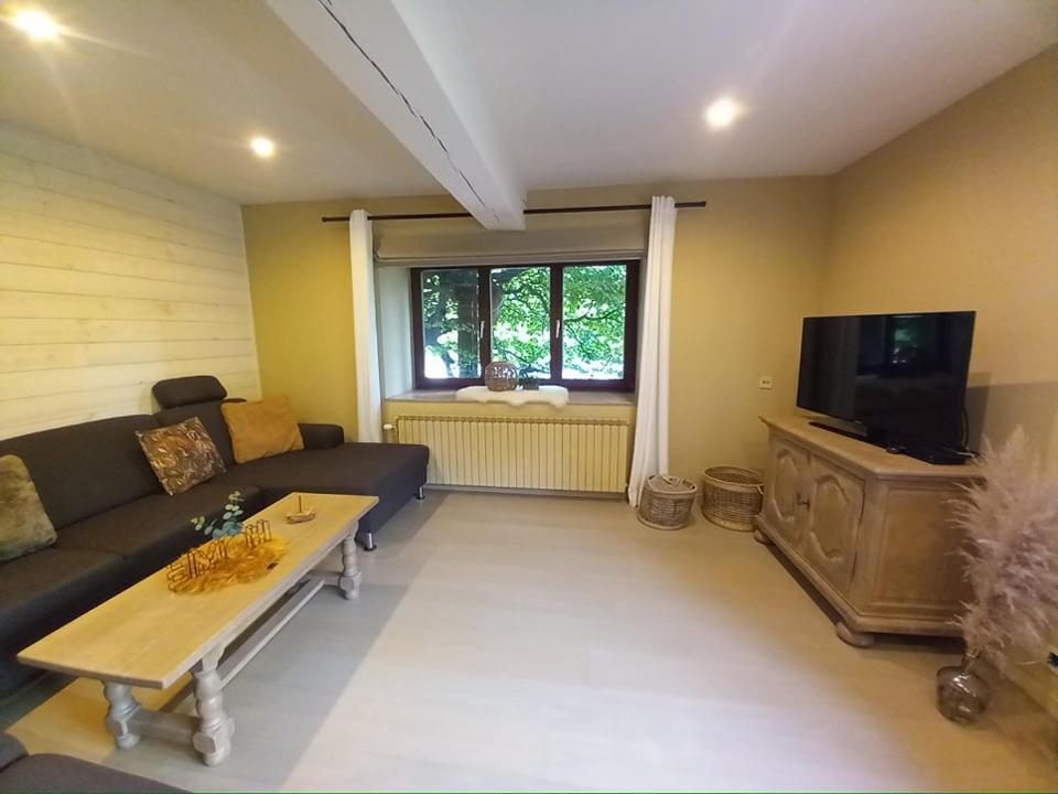 TV a/nebo společenská místnost v ubytování Le jardin des fagnes