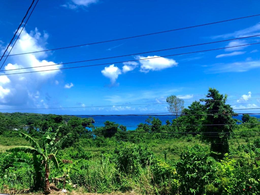 una ventana de tren con vistas al océano en TOGA GUEST HOUSE, en Port Antonio