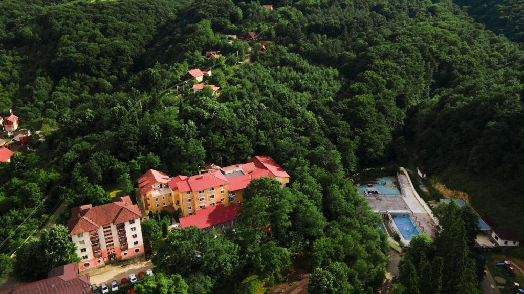 una vista aerea di una casa nel mezzo di una foresta di AIDA Hotel spa & tratament a Geoagiu Băi