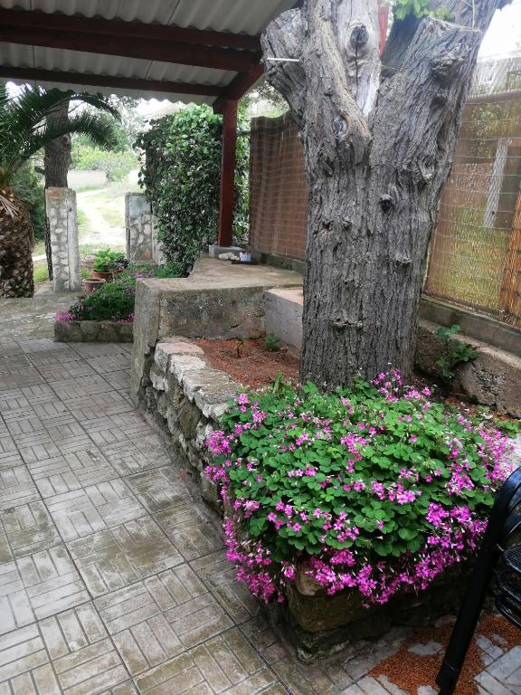 a flower bed with pink flowers next to a tree at Apartments Elena & Damir in Vis