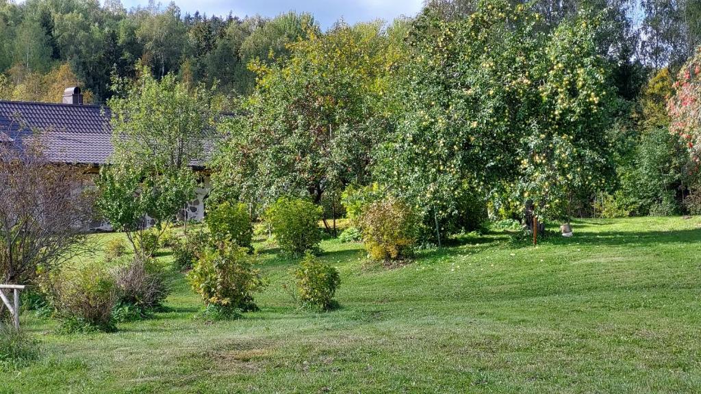 Zahrada ubytování Vakari Puhketalu