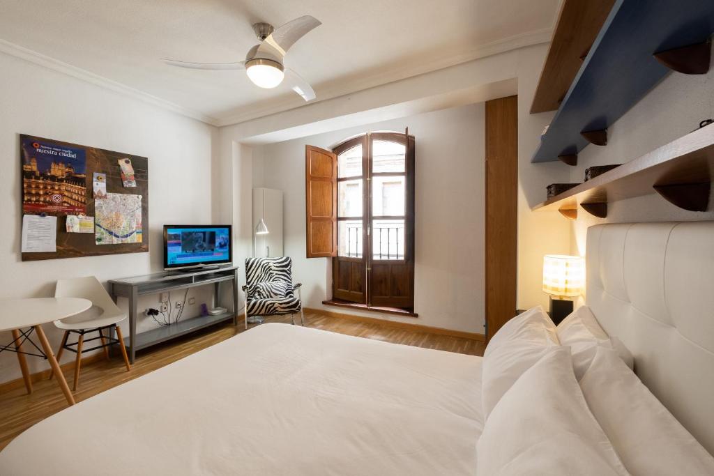 Estudio en la calle mas bonita de salamanca - 9